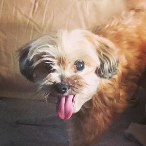 Meet your Posher, Brittany